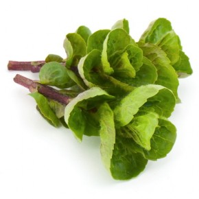 Vitamin H' - PABA